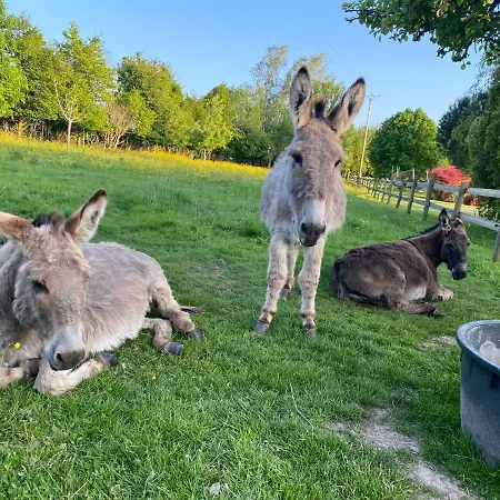 Entre Terre Et à Proximité De Honfleur *