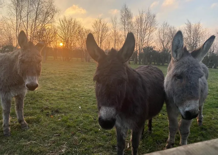 Prázdninový dům Entre Terre Et A Proximite De Honfleur Équemauville