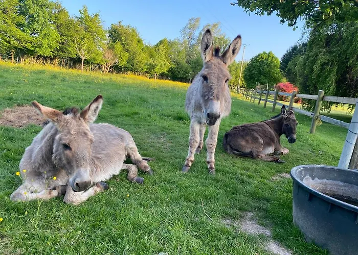 Entre Terre Et A Proximite De Honfleur *